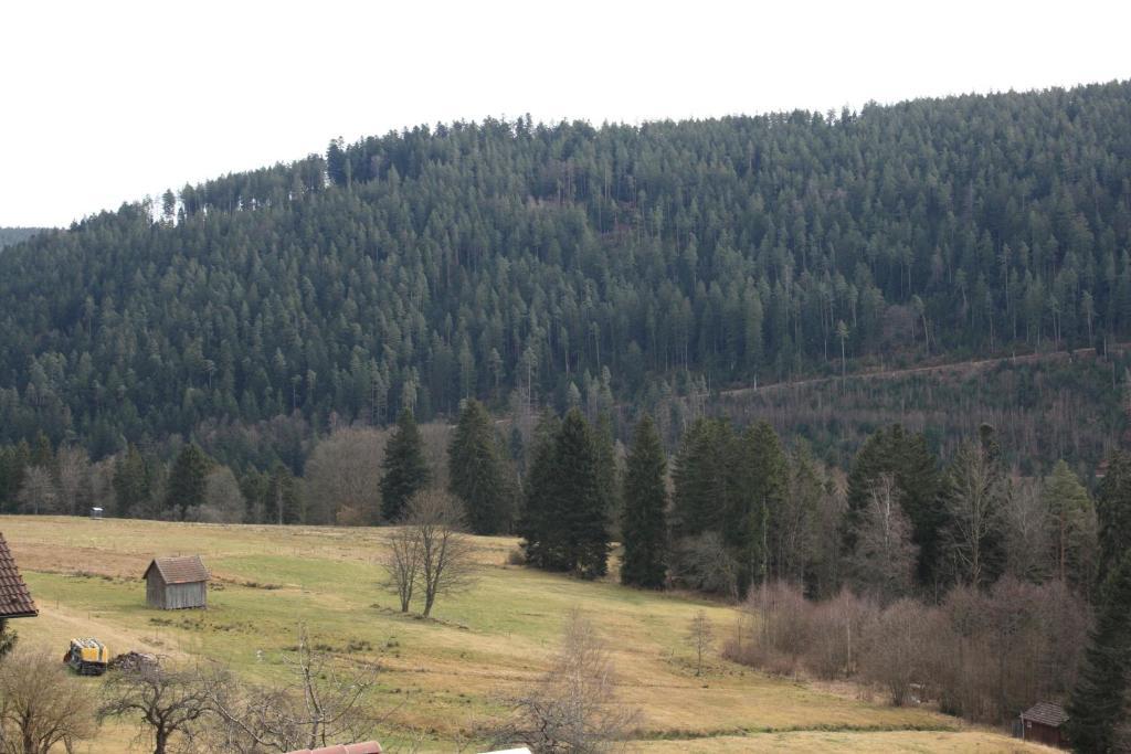 Hotel Schwarzwald-Gasthof Hirsch Bad Wildbad Habitación foto