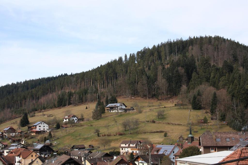 Hotel Schwarzwald-Gasthof Hirsch Bad Wildbad Habitación foto