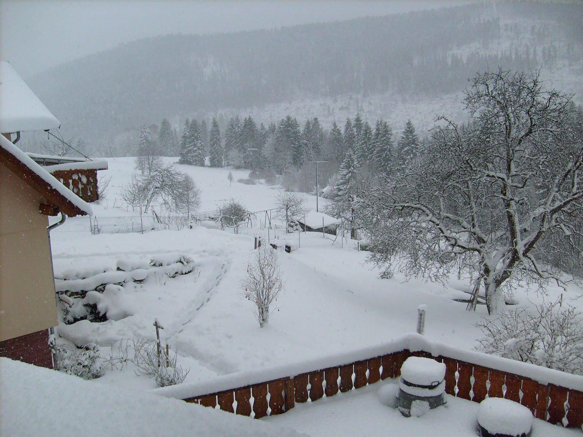 Hotel Schwarzwald-Gasthof Hirsch Bad Wildbad Exterior foto