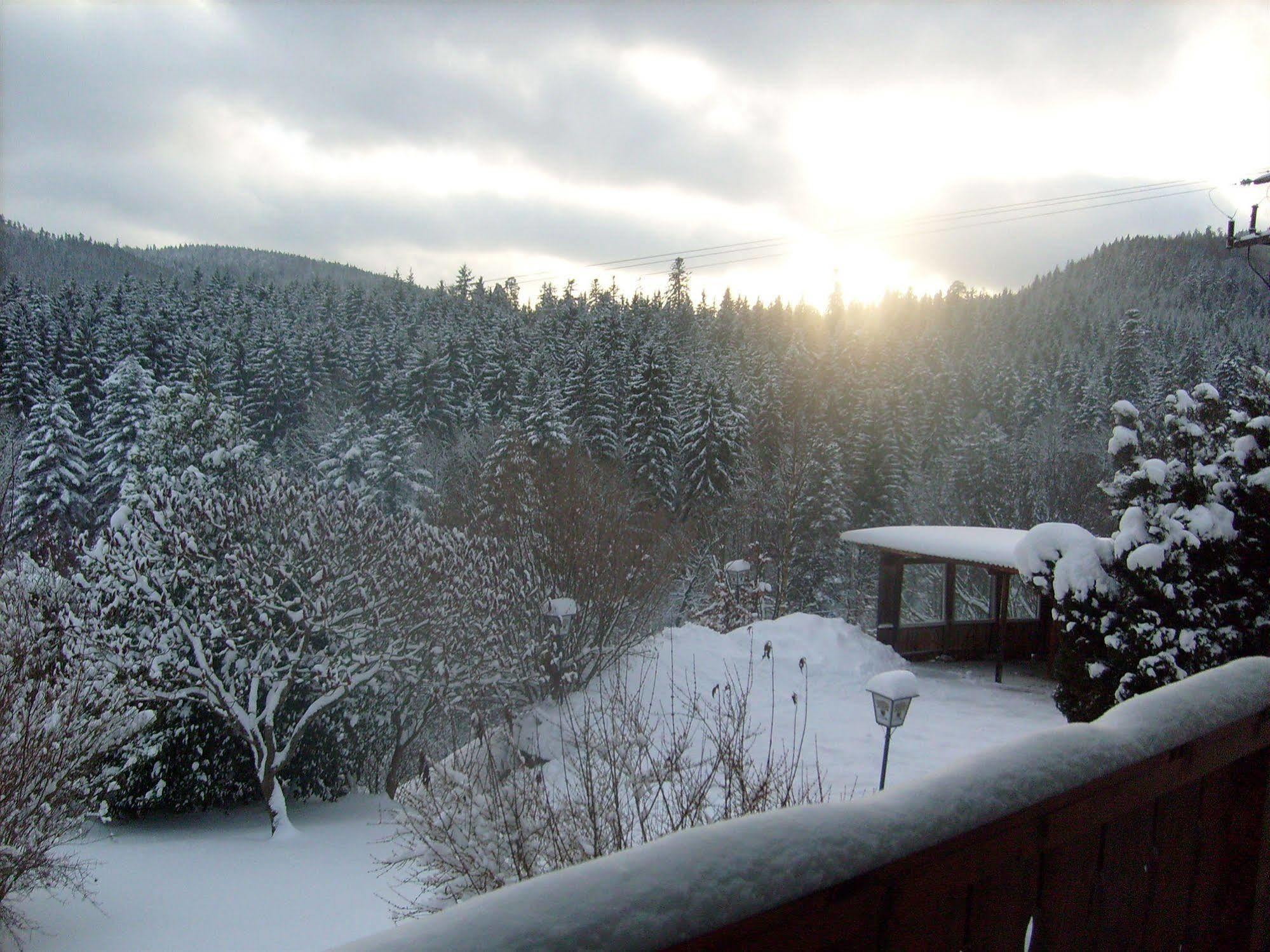 Hotel Schwarzwald-Gasthof Hirsch Bad Wildbad Exterior foto